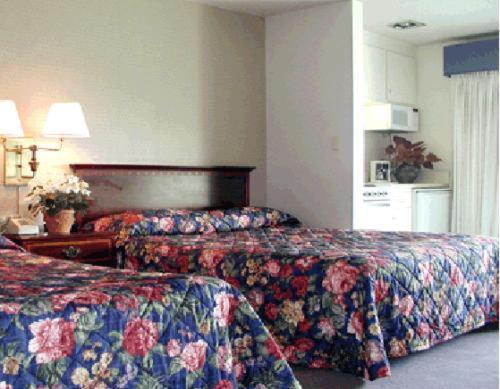 Coral Reef Inn & Condo Suites Alameda Rum bild